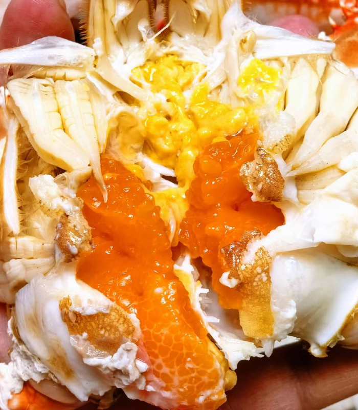 Superior Jumbo Swimming Crab: Bursting with Rich, Creamy Roe and Tomalley