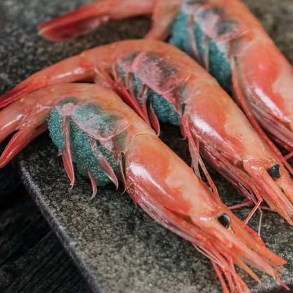 Top-grade Sashimi Seafood, Arctic Sweet Shrimp 
