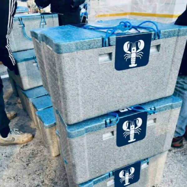 Live Crab & Shrimp Box - Insane Value!