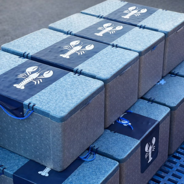 Live Crab & Shrimp Box - Insane Value!